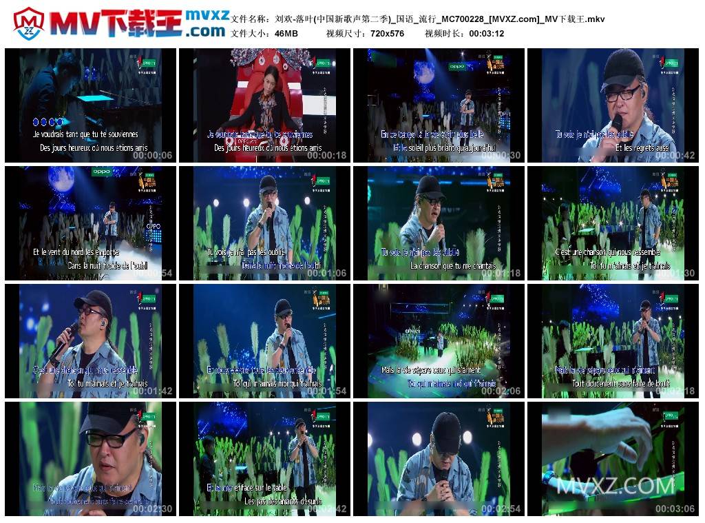 刘欢-落叶(中国新歌声第二季)_国语_流行_MC700228